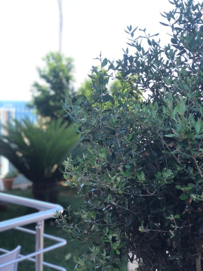 Sunset Apartments Berdenesh Sarandë 외부 사진